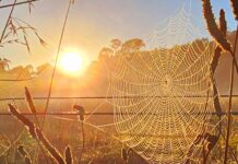 Fine conditions set to continue this weekend and into the week