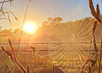 Fine conditions set to continue this weekend and into the week