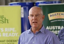 ‘Job-destroying deal’ no good says MP