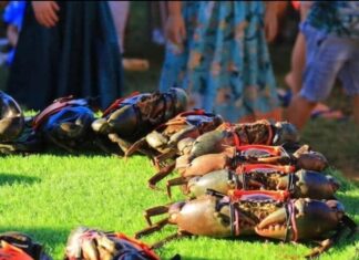 Clamp down on illegal crabbing activity