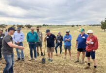 Council’s $250,000 community give-away