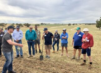 Council’s $250,000 community give-away