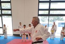 Top chop shop for karate