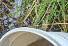 Good Samaritan saves icon