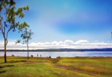 Help map out active living