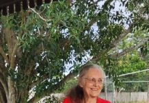 Cooloola’s great toad bust