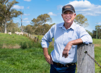 Perrett backs fire ant campaign