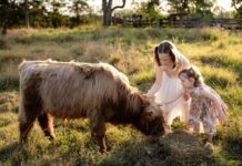 Gympie scores big in tourism boost