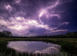 Minimalism scores at Camera Club