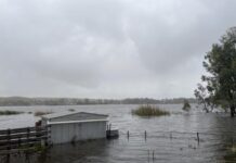Flood tragedy as fruitpickers found in submerged car