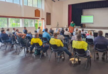 Forget the tigers, grab Giant Rat’s Tail grass