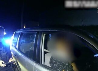 RBTs nab five in five hours in Gympie