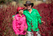 Big Rosella Field Days return