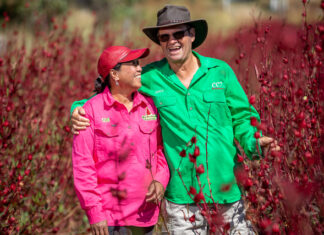 Big Rosella Field Days return