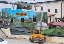 Artist paints Gympie’s golden past in new function room mural