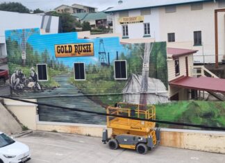 Artist paints Gympie’s golden past in new function room mural