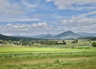 Bread, beer and chook feed, manufacturing, inflation – everything is hit by fuel crisis