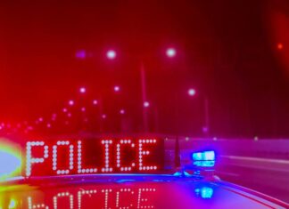 Ute stolen at knifepoint in Cooran