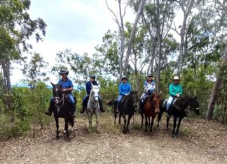 A ride for all reasons